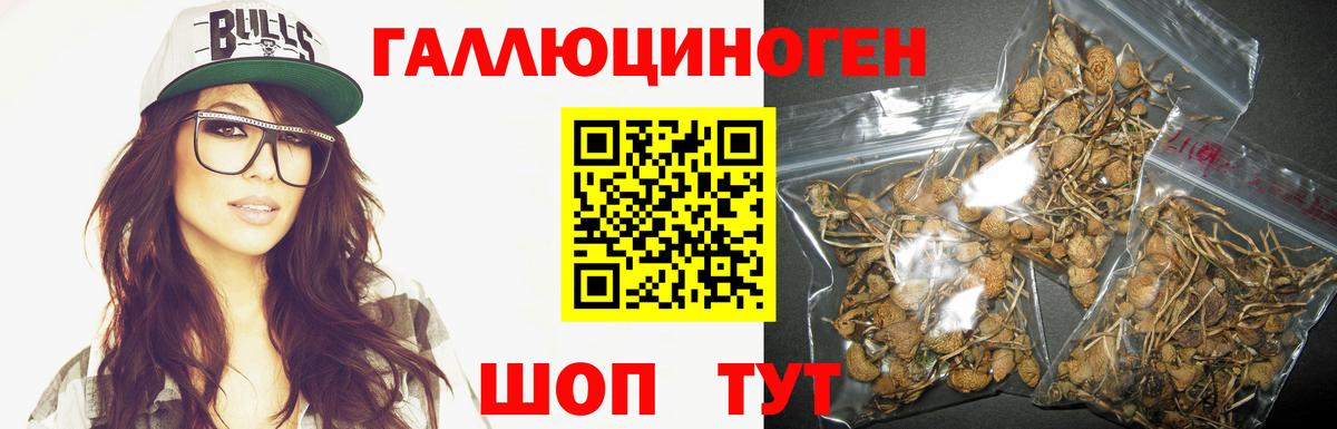 Псилоцибиновые грибы прущие грибы  Вход с VPN  Нижнекамск 